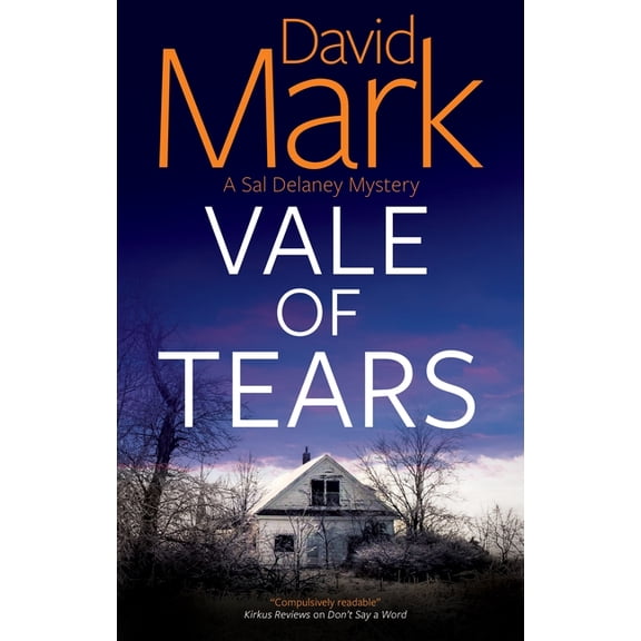 Sal Delaney Mystery Vale of Tears, Book 3, (Hardcover)