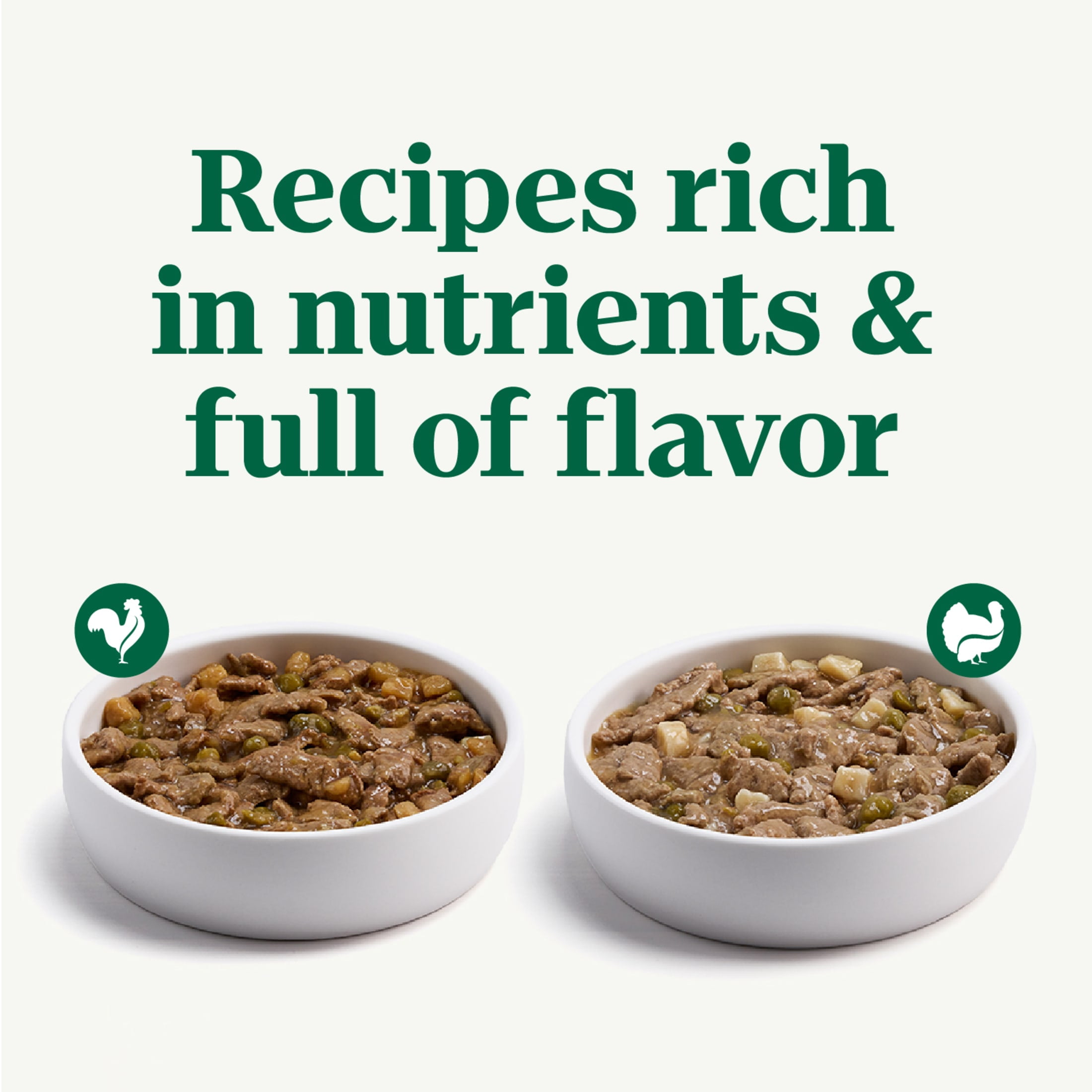 Amazon.com: Nutro Max Adult Mini Chunk Dry Dog Food with