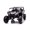 Black, variant on 24V 4x4 Freddo Toys Dune Buggy 2 Seater Ride on with Parental Remote Control for 3+ Years (Black)