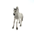 thumbnail image 3 of Toy Schleich 13915 Sorraia Mustang Stallion Farm World Schleich Schleich, 3 of 4