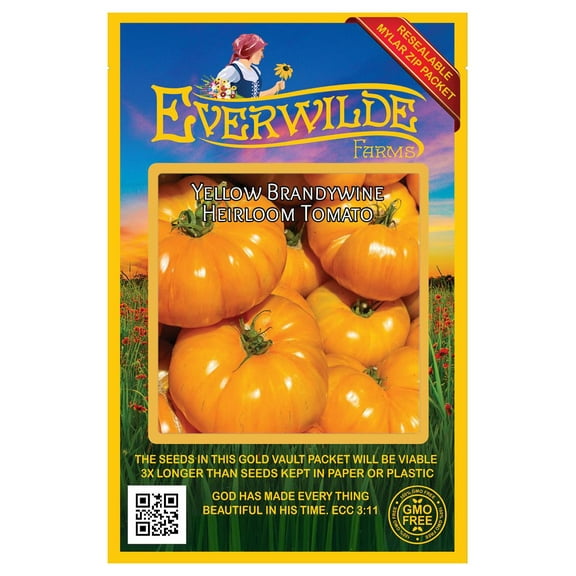 Everwilde Farms - 50 Yellow Brandywine Heirloom Tomato Seeds - Gold Vault Seed Packet