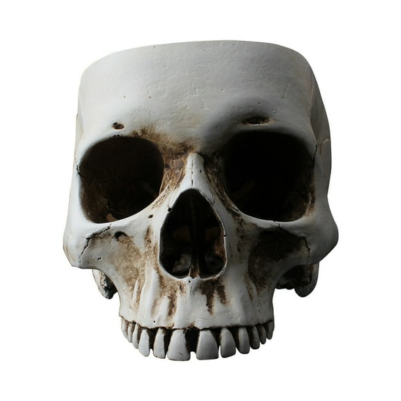 Halloween Decorations Skull Halloween Decor Halloween Decor Skulls Decor Halloween Halloween Hollow Taro Horror Flowerpot Ashtray Resin Simulation Skull Decoration