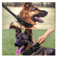 thumbnail image 5 of Collar Y Cuerda Para Perros Belug  NEGRO talla GRANDE, 5 of 5