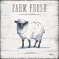thumbnail image 3 of Gango Home Decor Country-Rustic Country Rustic Farmhouse 'Farm Fresh' and "Dairy Fresh" Sheep and Goat Set by Paul Brent (Printed on Paper); Two 12x12in Unframed Paper Posters, 3 of 5