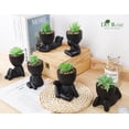 thumbnail image 5 of Der Rose Set of 6 Fake Plants Succulents Plants Artificial in Black Pots for Bathroom Home Office Table Decor Indoor, 5 of 8
