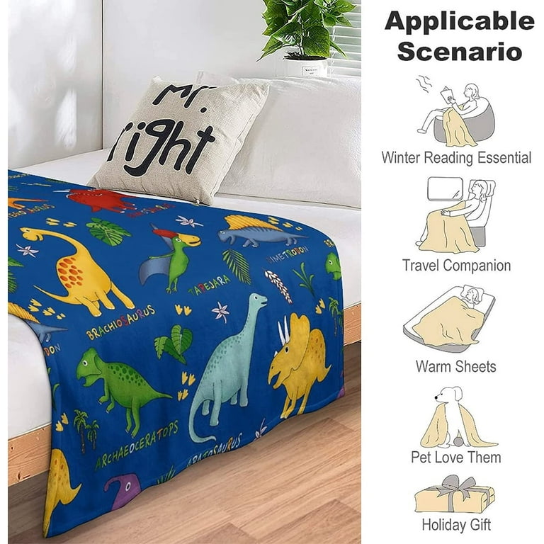 Dinosaur blanket full online size