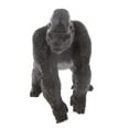 thumbnail image 2 of Haplorrhini Gorille Modèle Jouet Vie Figurine d'Action Objets de Collection, 2 of 6
