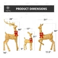 thumbnail image 5 of Jingle Joy 5FT Lighted Outdoor Christmas Deer Set – 3-Piece LED Reindeer Family with Twinkling Lights, Weather-Resistant Yard Decor with Stakes - Gold, 5 of 8