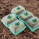thumbnail image 1 of Macetas De Vivero Caja de germinación Perforada Durable Semilla Grow Planter Box para suministros de invernadero, 1 of 8