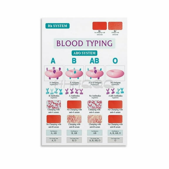 Blood Typing Chart Poster Canvas for Bedroom Living Room Decor