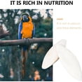 thumbnail image 5 of Veeki Bird Cuttlebone for Parakeets,10 pcs Cuttlebone for Birds, Natural Cuttlebone for Sharp Beaks,Pure Cuttlebone Parakeet Cuttlebone Holder for Cockatiels and All Birds-0719, 5 of 5