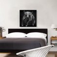 thumbnail image 2 of ARTCANVAS Bull Cattle Steer Animal Black White Canvas Art Print - Size: 26" x 26" (0.75" Deep), 2 of 9
