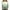 G04!Light Green, variant on CCRFTGI Girls Clothes 14-16 Outfits Preppy Crew Neck Tween Girls Tops Color Block 3/4 Length Sleeve Shirts Spring Girl 10-12 Clothing on Sale Light Purple 12-13 Years