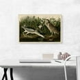 thumbnail image 2 of ARTCANVAS Black-Crowned Night-Heron Canvas Art Print by John James Audubon - Size: 26" x 18" (1.50" Deep), 2 of 9