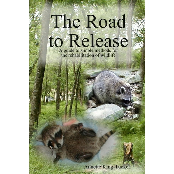 The Road to Release, (Paperback)