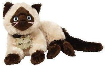 ty cat teddy