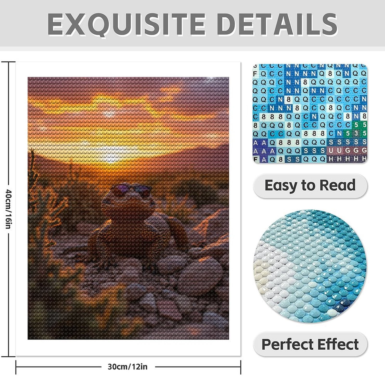 Diamond Art Kit for Adults, Sunset Cool Lizard Rocks Diamond Painting for Adults Beginners, DIY Diamond Art Painting Kits, 5D Diamond Painting Crafts for Home Decor 12x16 Frameless