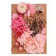 thumbnail image 1 of Unique Bargains Fleurs Séchées Naturelles Multiples Fleurs Pressées Colorées Série Rose, 1 of 5