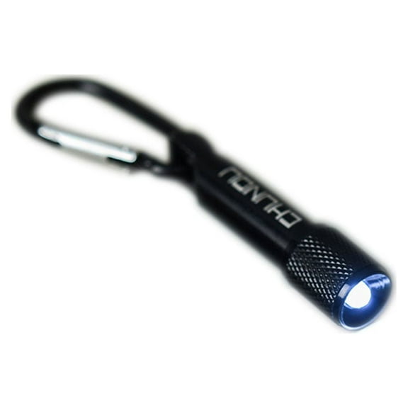 Necvior Keychain LED Flashlights with Carabiner Clip 2 Colors Torch Keychain with Carabiner Clip Hook for Kids Party