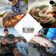thumbnail image 3 of 5 uds VIB señuelos de pesca suaves 4,8 cm 15g cebo Artificial con anzuelo triple, 3 of 9