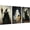 NO.00459, variant on Halloween Decorations Indoor Wall Decor: 3 pcs Large Scary Witch Ghost Black Cat Canvas Poster, Classic Horror-themed Halloween Wall Art, Goth Dark Moody Paintings for Living Room Bedroom,