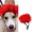 Red, variant on Pet Wig, Red Curly Afro Hairstyle, 1 Pack for Cats and Dogs, Funny Cosplay Costume Accessory for Halloween Christmas Holiday Party Photo Props