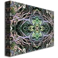 thumbnail image 2 of Trademark Art "Kaleiodoscope" Canvas Wall Art by Kathie McCurdy, 2 of 2