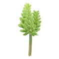 thumbnail image 2 of Follaje de planta suculenta artificial de plástico para decoración de jardín 103 1 14cm, 2 of 9