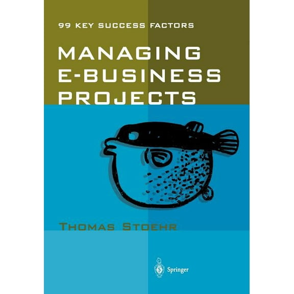 Managing E-Business Projects: 99 Key Success Factors, (Paperback)