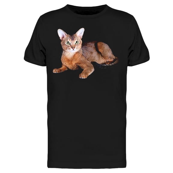 Gorgeous Abyssinian Kitty T-Shirt Men -Image by Shutterstock, Male Large