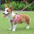thumbnail image 2 of Pet Clothes for Small Dogs Tutu Pet Clothes for Medium Dogs Female Pet Clothes for Small Dogs Female Pet Clothes Closet Pet Clothes for Medium Dogs Male Pet Clothes for Small Dogs Male Pet Clothes for, 2 of 4