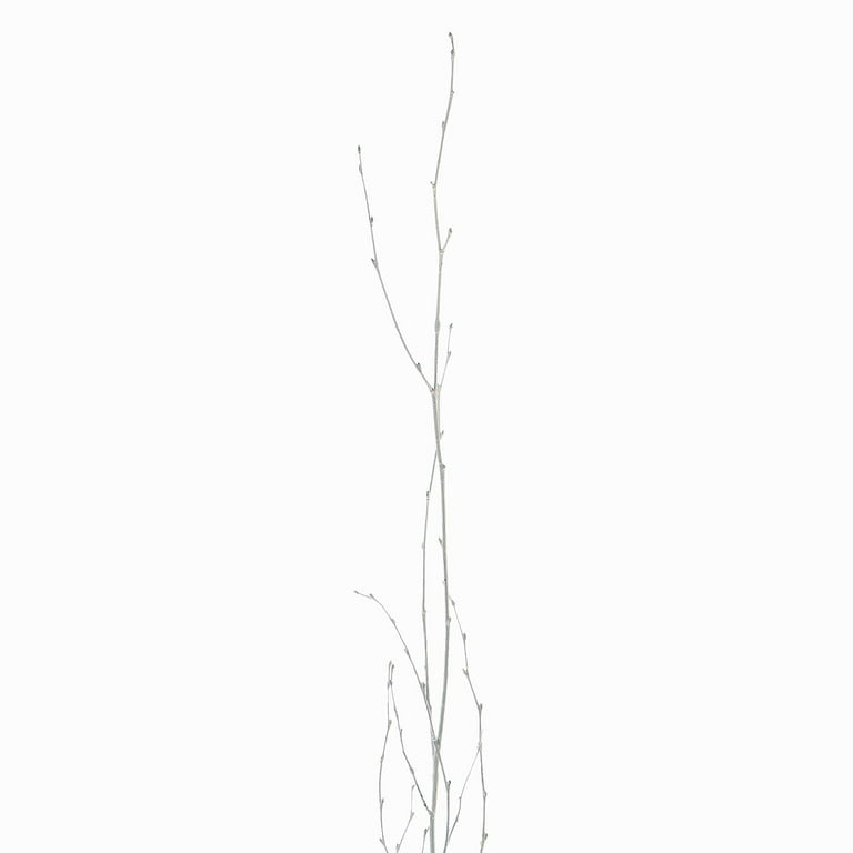 Birch Branches - White Sparkle