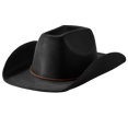 thumbnail image 5 of Joyfy Cowboy Hat for Adults and Kids, Western Cowboy Hat for Halloween Costume Accessory, 5 of 9
