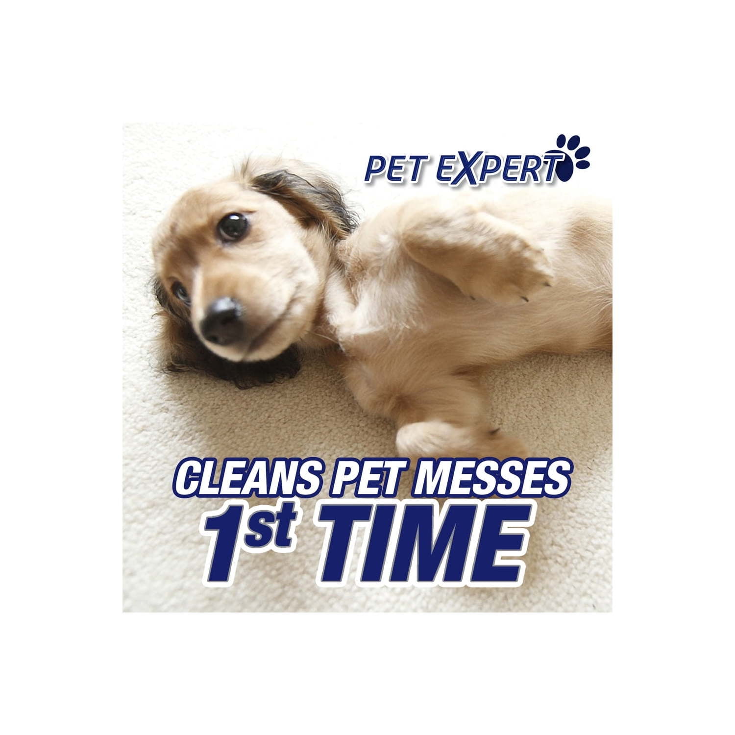 Resolve Carpet Pet Stain Cleaner Solution and Odor Remover Steam Machine Concentrate, 60 oz