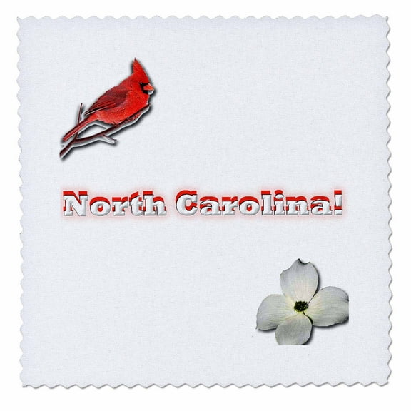 3dRose, North Carolina, 8x8 inch quilt square