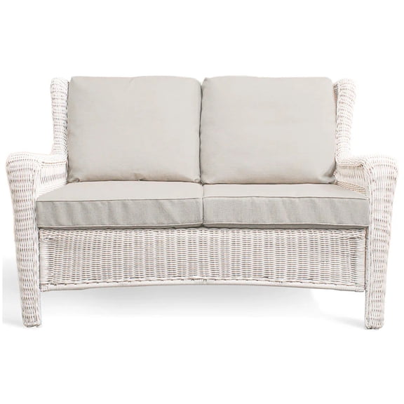 Krikacy Patio Sofa Outdoor Loveseat, 46" Width Weather Resistance Wicker Double Chair Apartment Wicker Furniture Deep Seat for Couch Porch Balcony, Gray White,500LBS