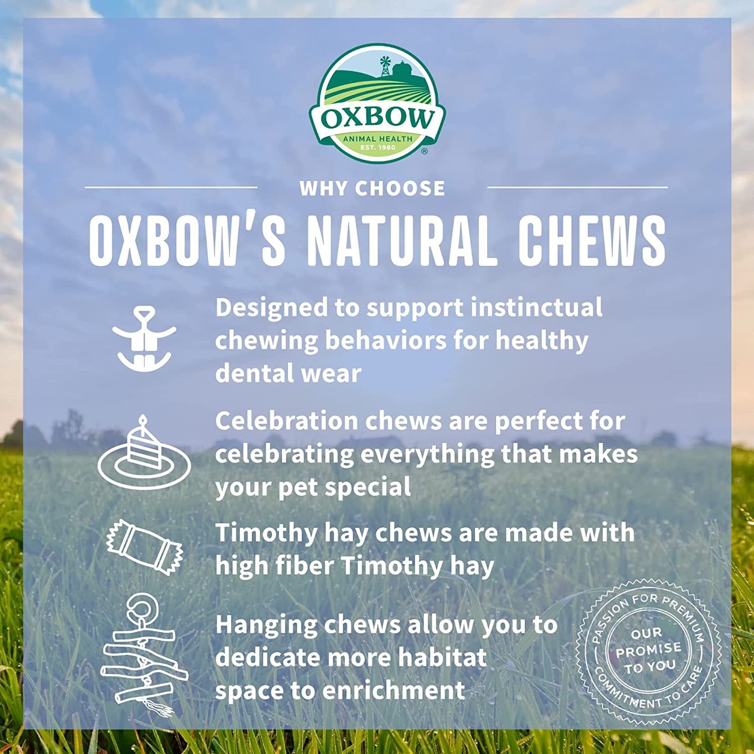 Oxbow Animal Health Enriched Life Apple Stick Bouquet Small Animal Chew 1ea/One Size
