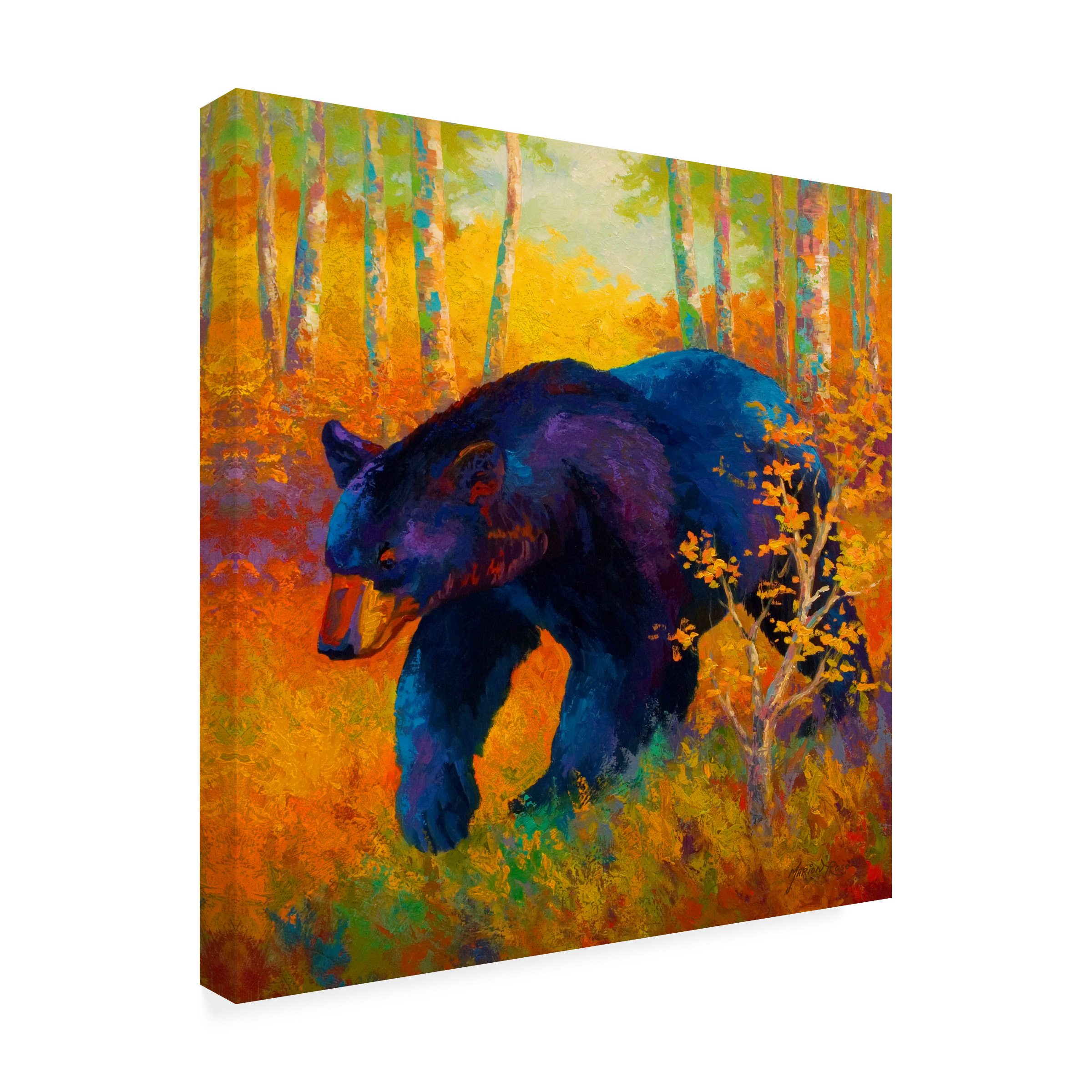 Marion Rose 'In To Spring Black Bear' Canvas Art