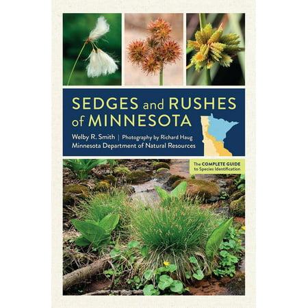 Sedges and Rushes of Minnesota : The Complete Guide to Species
