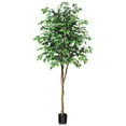 DR.Planzen 7FT Tall Faux Ficus Plant, Natural Wood Trunk & Lifelike