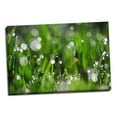 thumbnail image 2 of Gango Home Decor Dew Drops II by Leesa White (Ready to Hang); One 36x24in Hand-Stretched Canvas, 2 of 4
