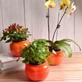 thumbnail image 5 of jiaroswwei 1 Set Flower Pot Dual Layer Shatterproof Plastic Decorative Plant Flower Pot with Water Container for Home, 5 of 8