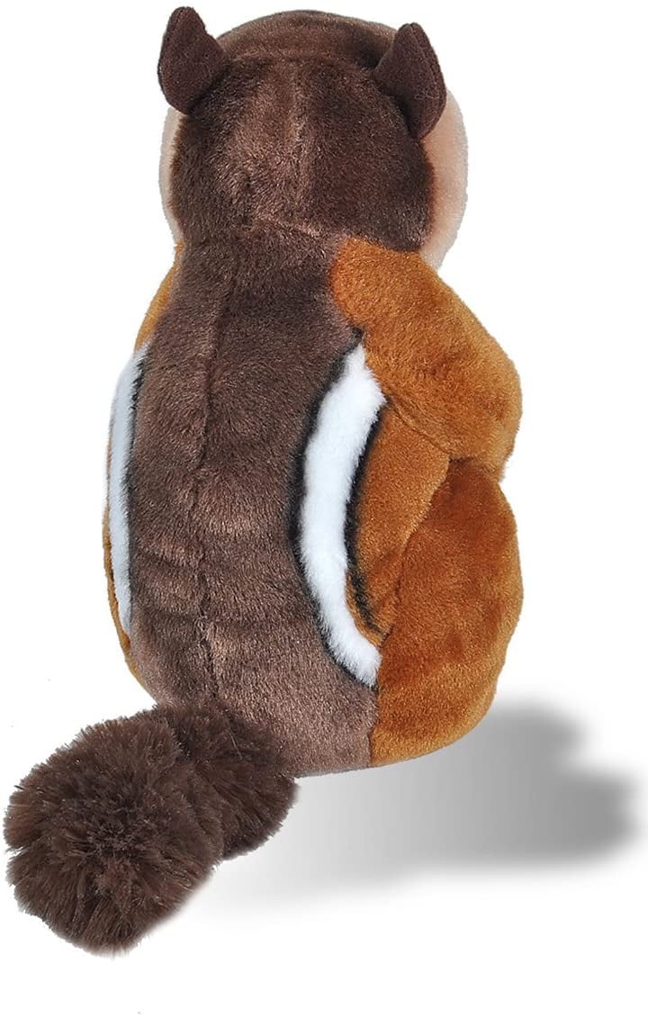 Peluche Ardilla Súper Blandito – Modelo De Felpa De 7,5 Cm, Decoración De Habitación, Viaje Y Regalo, Ideal Para Niños Y Adultos, Diseño Encantador