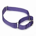 thumbnail image 6 of Guardian Gear All-Nylon Martingale Dog Collar 10 t, 6 of 6