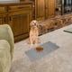 thumbnail image 3 of KAKOWELY Tapete de silicona para comida de gatos y perros, tapete antideslizante para comedero de perros y gatos, mantel individual para mascotas, 3 of 4