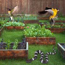 xaoyunyn Realistic TPR Rubber Snake Garden Decoration Set with Lifelike Cobras,Rattlesnakes Vipers to Scare Away Birds and Enhance Outdoor Spaces