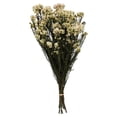 thumbnail image 1 of Vickerman H1RCF005 16-23 in. Fleur de Riz Blush Naturel avec 4-5 oz Bundle, 1 of 2