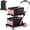Pink, variant on Rvchic Functional Collapsible Carts with 2 Storage Crates,8-in-1 Mobile Folding Trolley with 360°Rolling Wheels for Shopping,Picnic,Warehouse,Blue