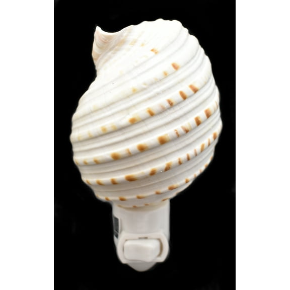 Seashell Night Light Real White Tessalata Shell Beach Decor w. on/Off Switch Beautiful Coastal Cottage