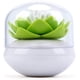thumbnail image 1 of Soporte para bastoncillos de algodón Bastoncillo de algodón Pequeño QTips Caja Contenedor de palillos Flor Decoración de baño Verde brillar Electrónica, 1 of 5